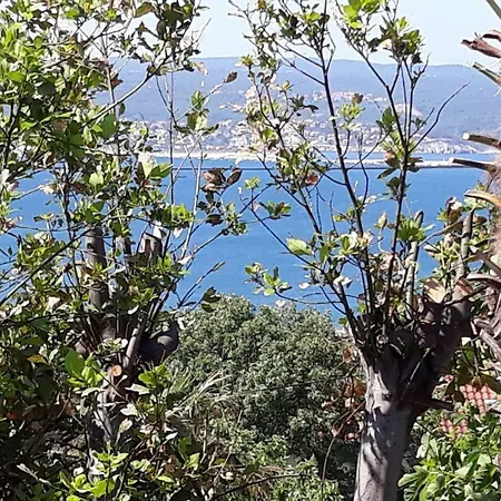 Mare * Crikvenica
