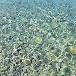Mare