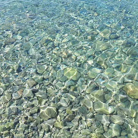Mare